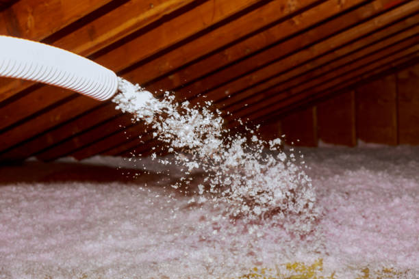 Best Residential Insulation in Wahneta, FL