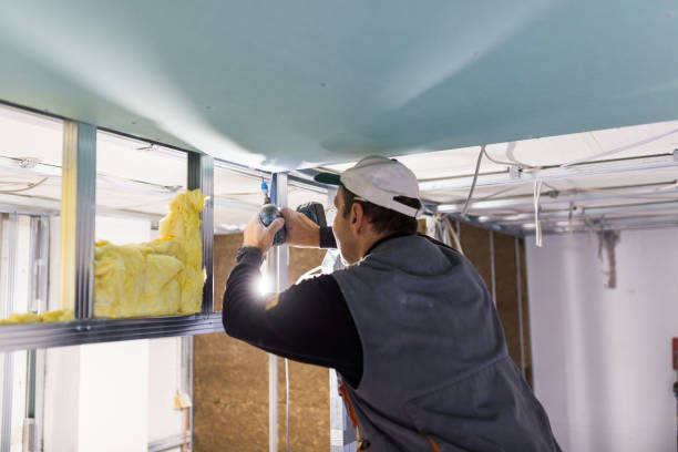 Best Insulation Maintenance and Repair in Wahneta, FL