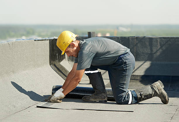 Types of Insulation We Offer in Wahneta, FL