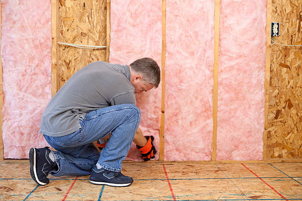 Best Specialized Insulation Services in Wahneta, FL